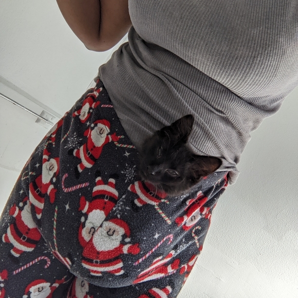 Meet your Posher, Ichigo - Picture 16 of 16